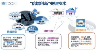 IDC数字经济时代 智慧未来已来，人工智能基础软件开发引领变革
